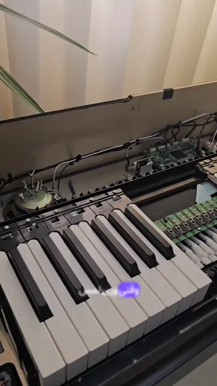 درون صدای یاماها بازسازی و تعمیرات حرفهای باروک|پیانو، کیبورد، آکاردئون|اهواز, زیتون کارمندی|دیوار