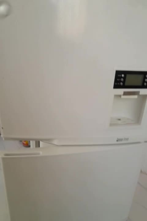 یخچال اسنوا 810 بدون برفک فقط بردش باید درست کنی|یخچال و فریزر|کهریزک, |دیوار