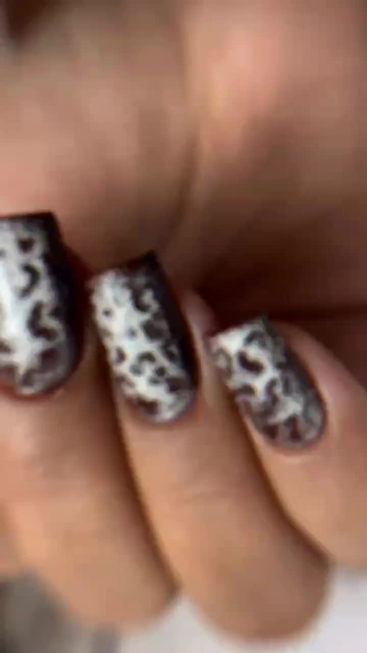 کاشت ناخن فقط ۲۹۵|خدمات آرایشگری و زیبایی|تربت‌حیدریه, کاشانی|دیوار