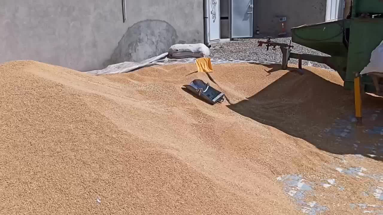 بوجاری گندم جو 1تا 1/5تن در ساعت|عمدهفروشی|ماهیدشت, |دیوار