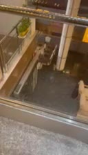 رهن واجاره واحدهای اداری تجاری لوکس|اجارهٔ دفتر کار، اتاق اداری، مطب|بیرجند, |دیوار