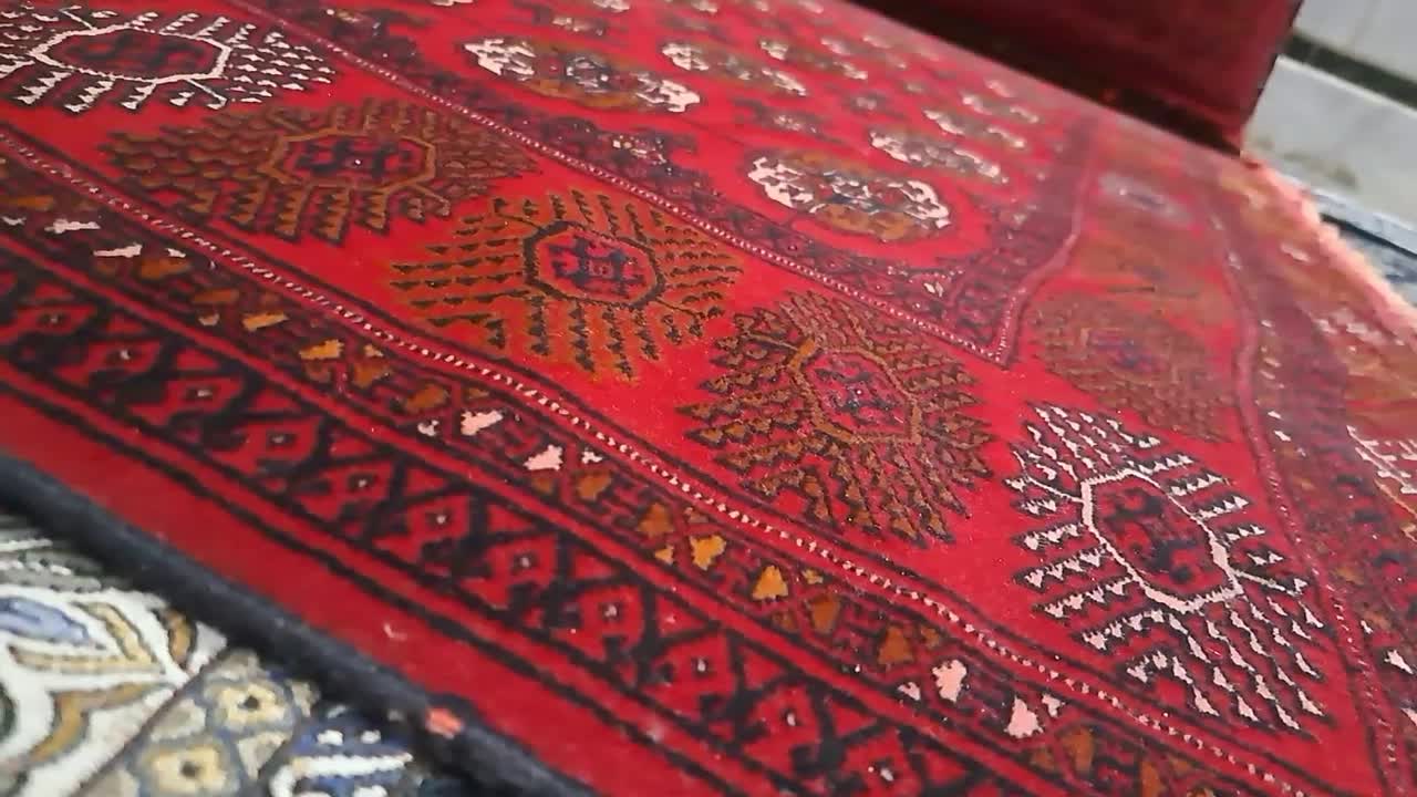 فرش|فرش|زاهدان, |دیوار