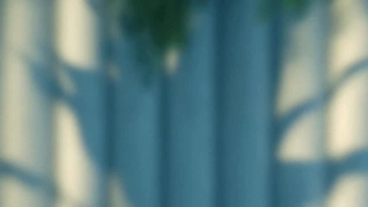 شرکت خدماتی نظافتچی خانم/منزل/محل کار/راه پله/شیشه|خدمات نظافت|تهران, میدان ولیعصر|دیوار