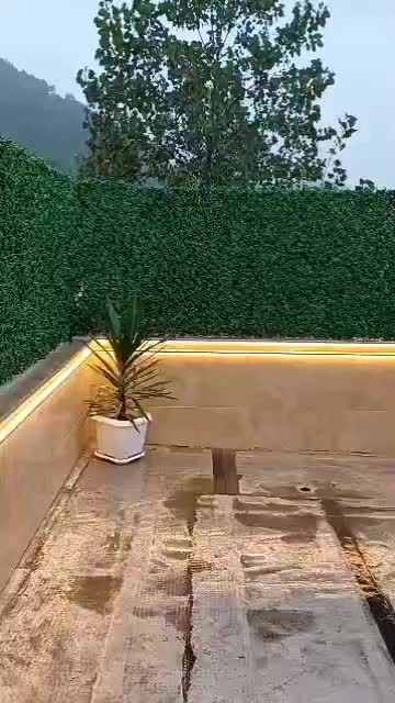 اجاره ویلا سالیانه دوخوابه روف گاردن|اجارهٔ خانه و ویلا|ماسال, |دیوار