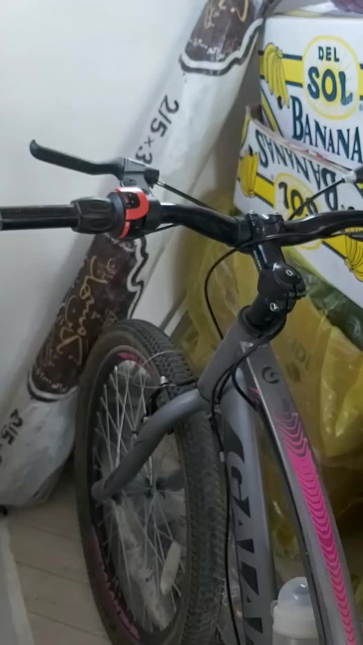 دوچرخه ۲۴|دوچرخه، اسکیت، اسکوتر|قروه, |دیوار