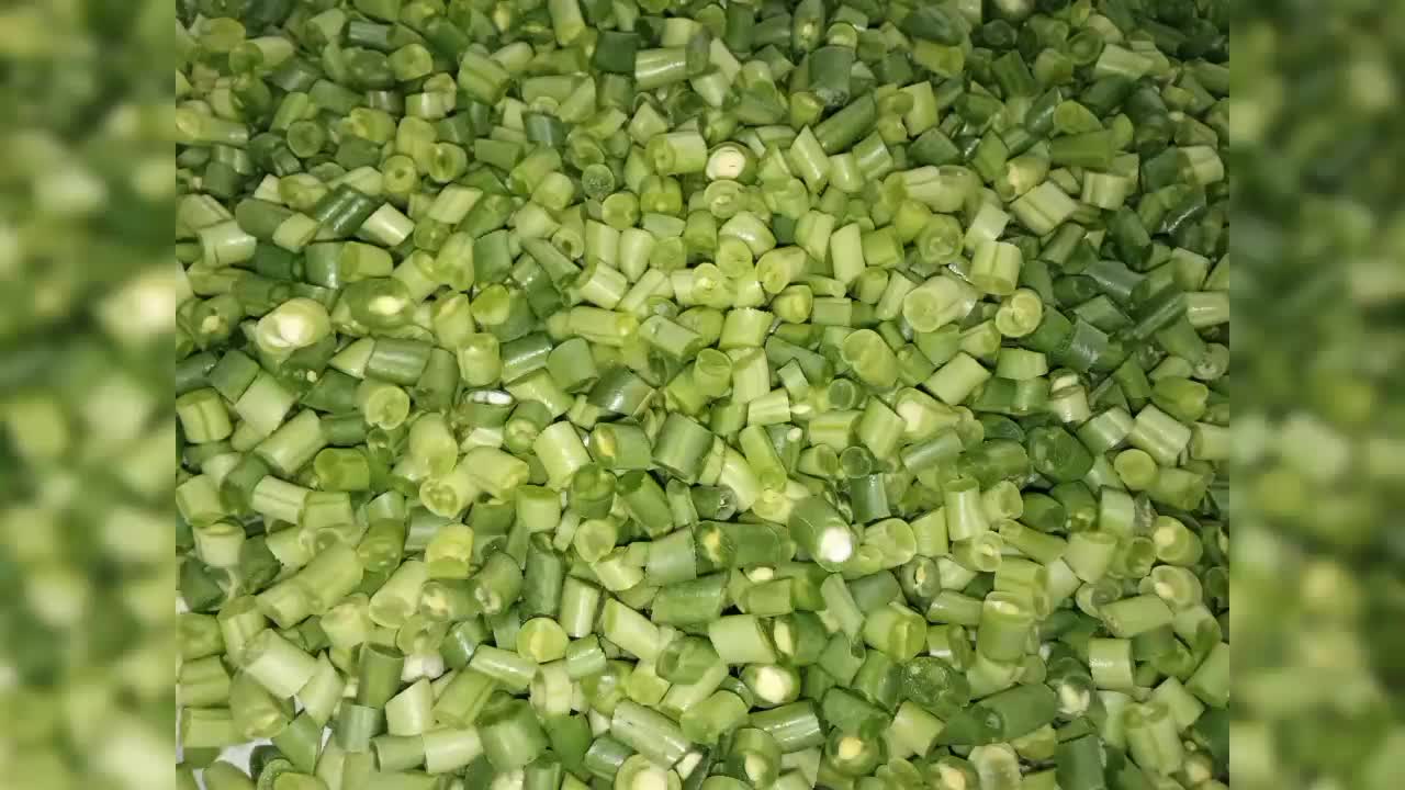 سلام|خوردنی و آشامیدنی|شیراز, گچی|دیوار