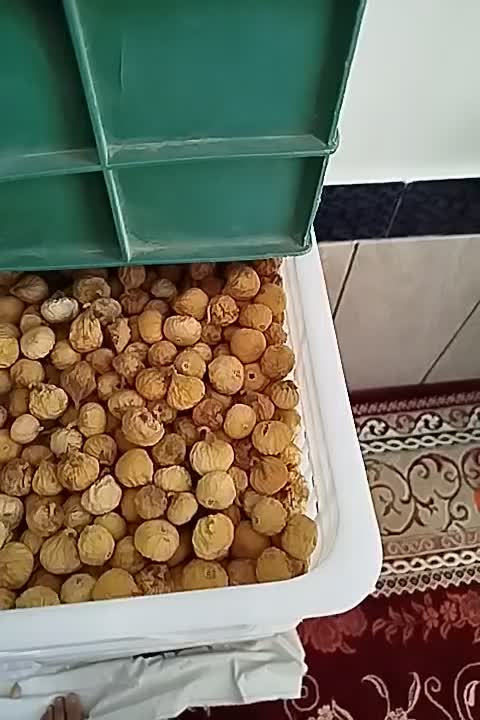 انجیر|خوردنی و آشامیدنی|شیراز, شاپورجان|دیوار