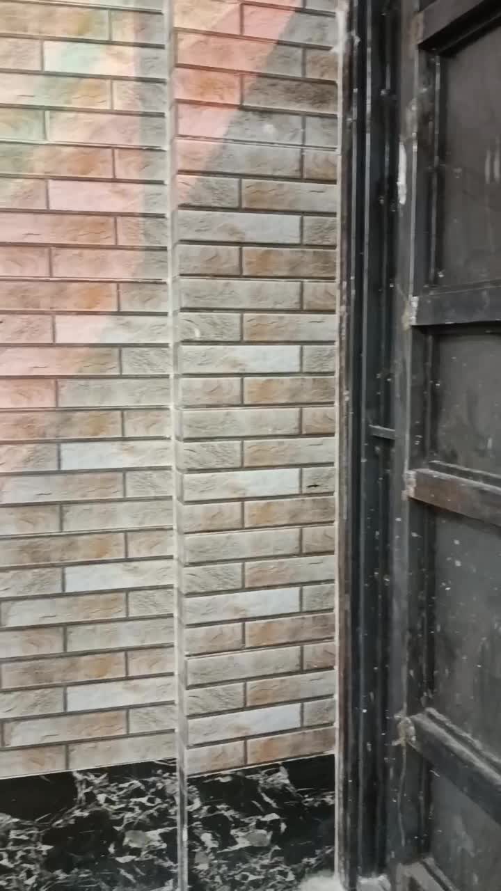 اوستا کاشی کار سنگ و تمامی کارای بنایی|خدمات پیشه و مهارت|کرمان, |دیوار