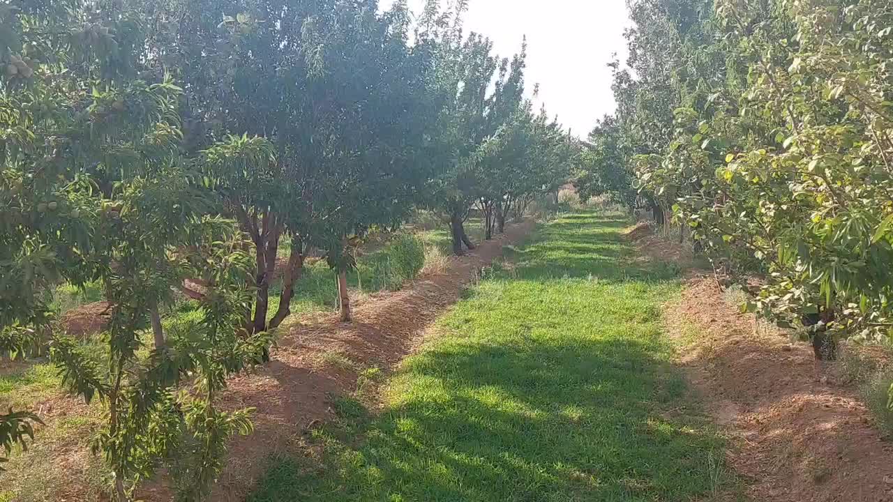 فروش باغ حسین آباد علویجه با دیوارکشی و اتاق|فروش خانه و ویلا|شاهین‌شهر, طالقانی|دیوار