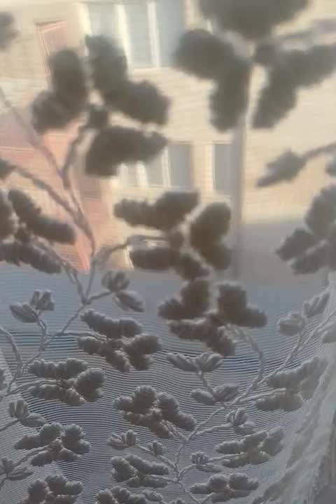 پرده تور پذیرایی|پرده، رانر، رومیزی|مشهد, الهیه|دیوار