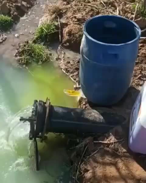 هرس.سمپاشی اصلاح خاک|خدمات باغبانی و درختکاری|نیشابور, مدرس|دیوار