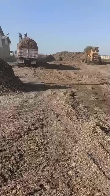 فروش دانه پنبه و پوسته پنبه|لوازم جانبی حیوانات|اصفهان, باغ نگاره|دیوار