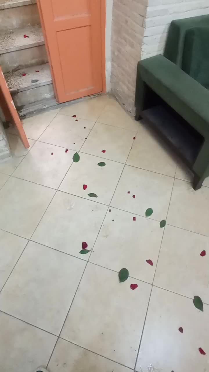 آموزش نقاشی|خدمات آموزشی|ساوه, |دیوار