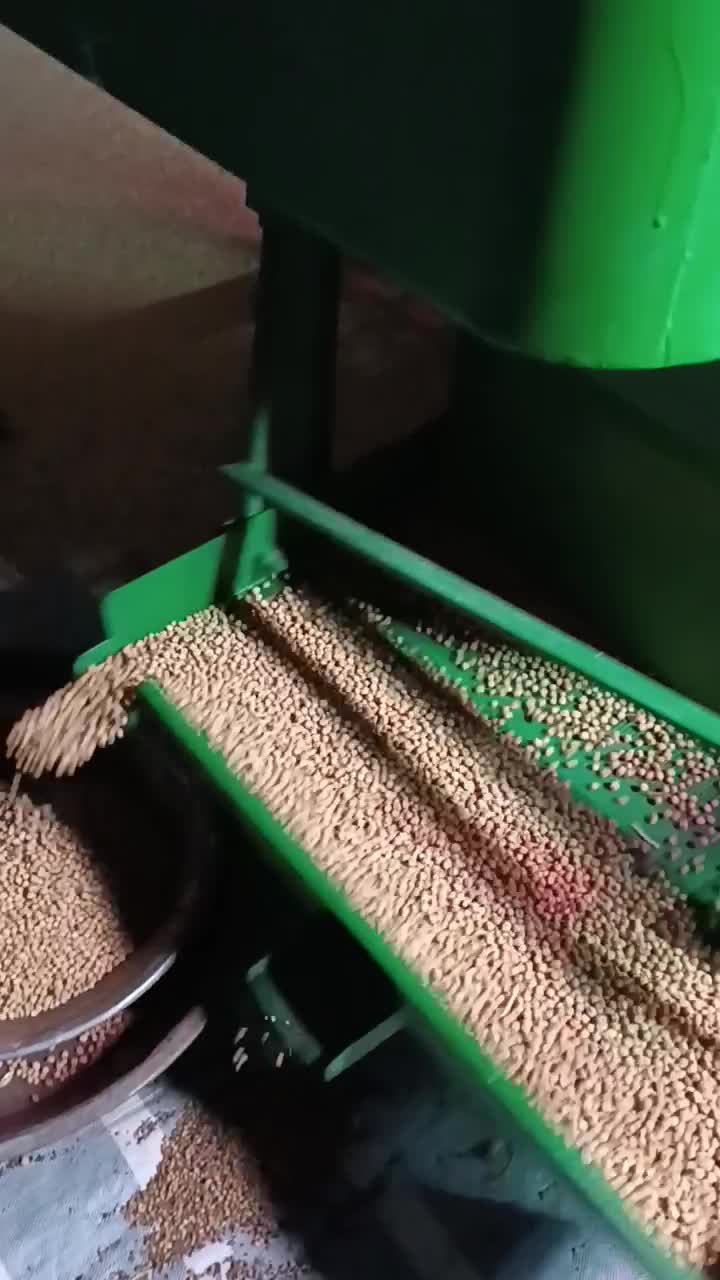 فروش 1500کیلو نخود بوجاری شد|خوردنی و آشامیدنی|کلیائی, |دیوار