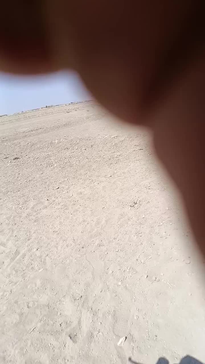 اسب وتجهیزات|اسب و تجهیزات اسبسواری|رودشت (اصفهان), |دیوار