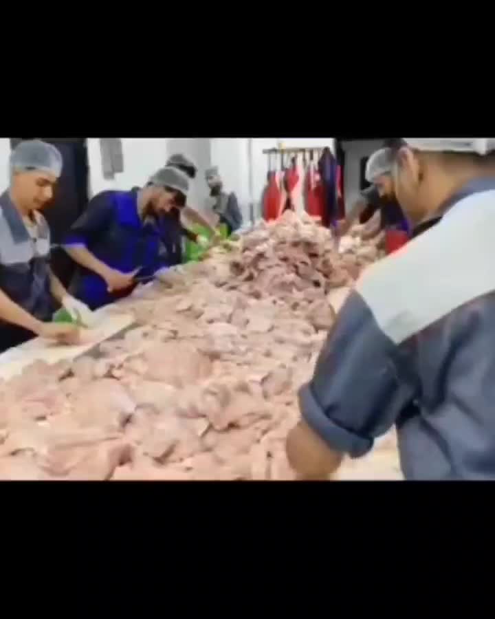 قطعه بندی مرغ ران سینه فیله کتف بال ارسال رایگان|عمده‌فروشی|رشت, پیرکلاچای|دیوار