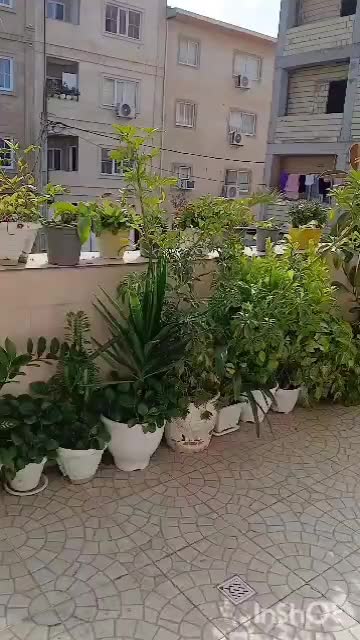 اجاره سویت یخوابه واپارتمان دوخوابه بلوار انصاری|اجارهٔ کوتاه‌مدت آپارتمان و سوئیت|رشت, دیلمان|دیوار