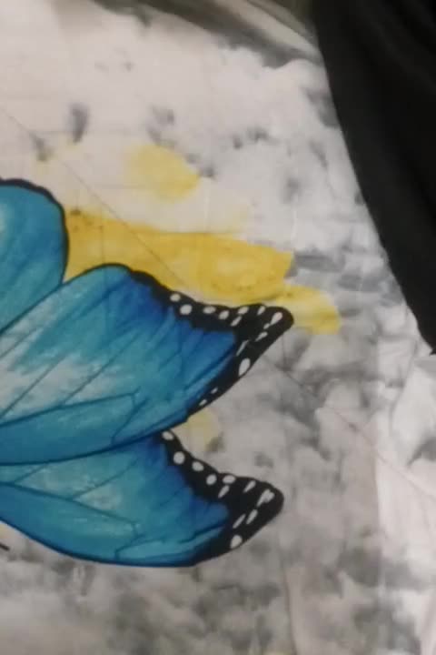 ال ای دی|دوچرخه، اسکیت، اسکوتر|سبزوار, طبرسی (جعفرآباد)|دیوار