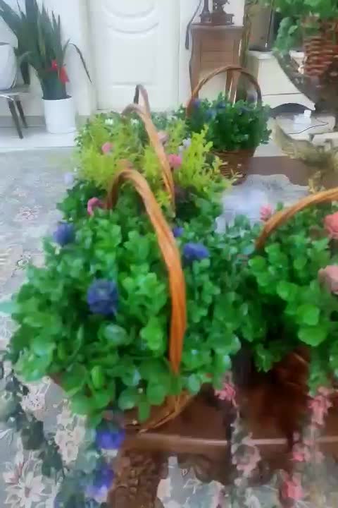 گل شمشاد سبذی|گل مصنوعی|تهران, تهرانسر شرقی|دیوار