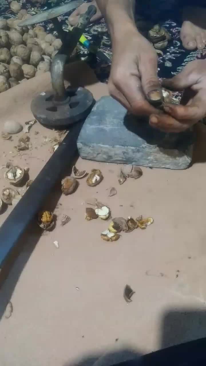 گردوی مرغوب ملابر  مغز پر وشیرین|حراج|بیستون, |دیوار