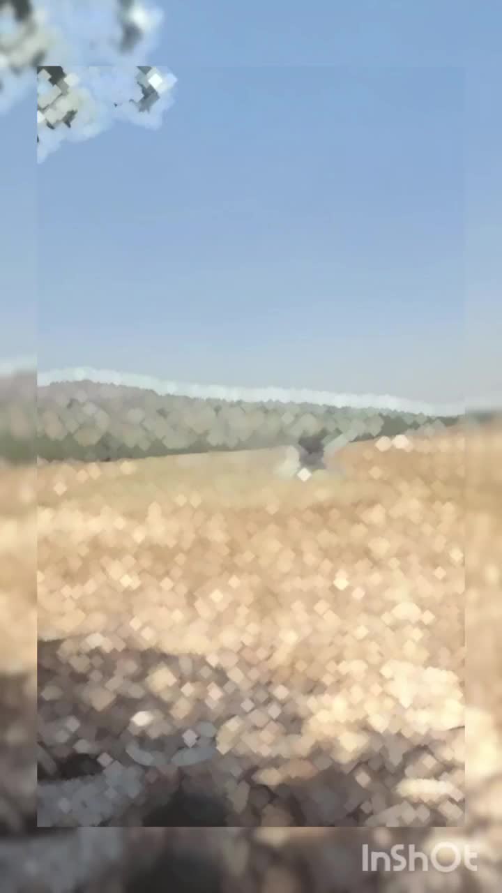 کمباین مدل ۹۵ بکار تمام چین|خودرو سنگین|سنندج, |دیوار