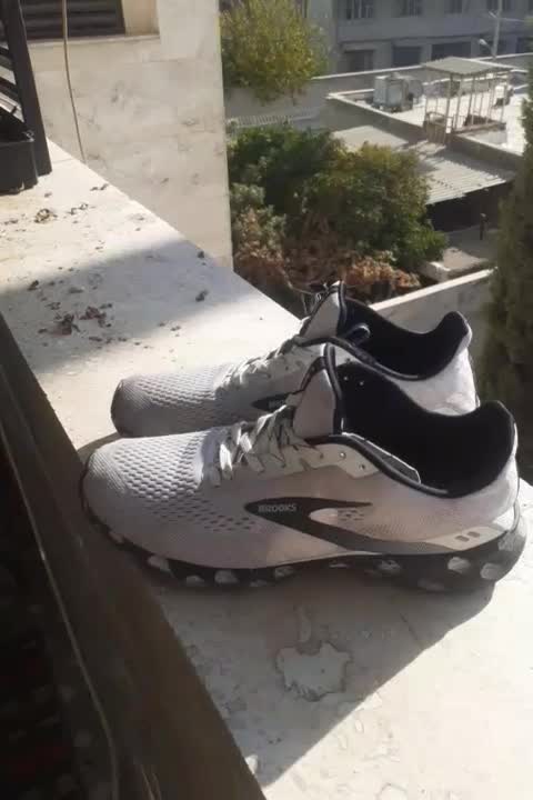 بروکس اصل نونوشماره۴۰تا۴۲میتونه بپوشه|کیف، کفش، کمربند|شیراز, فرودگاه شهید دستغیب شیراز|دیوار