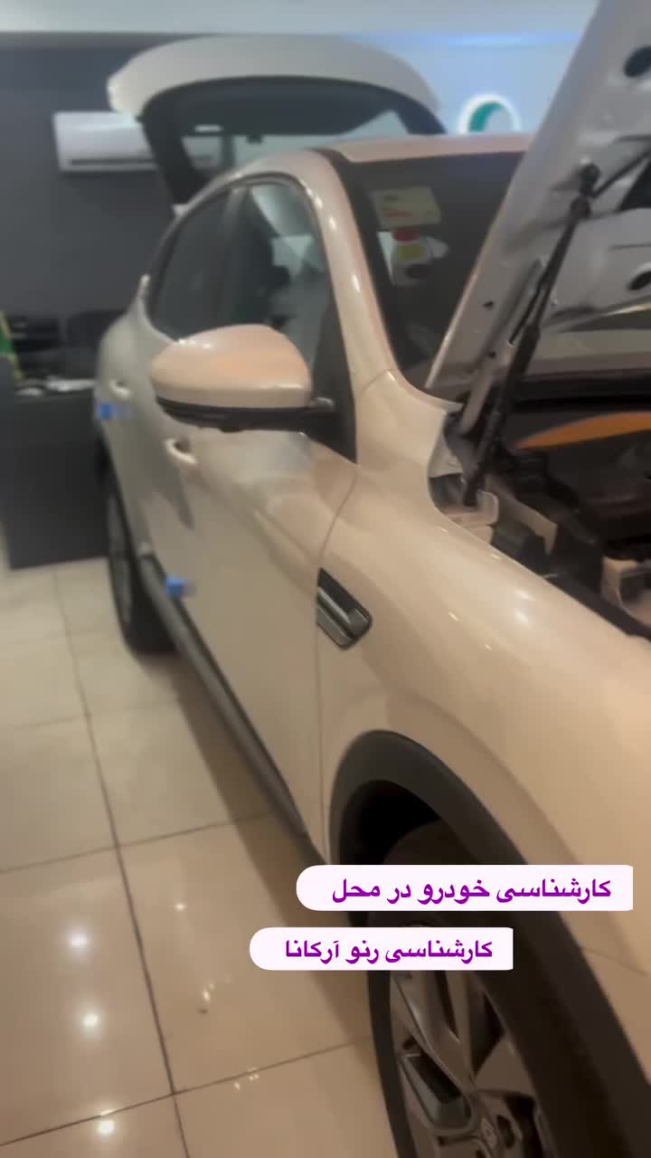 تشخیص رنگ بدنه و کارشناسی فنی خودرو در محل|خدمات موتور و ماشین|تهران, میدان انقلاب|دیوار