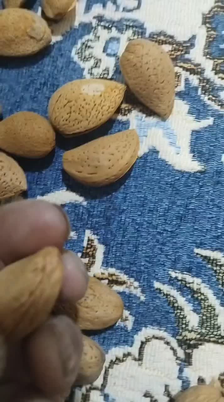 پخش روغن زرد گوسفندی وگاوی وکره دوغی. اسفراین|خوردنی و آشامیدنی|پاکدشت, حصار امیر|دیوار