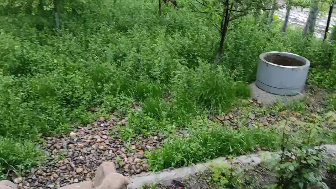 باغ بر کمربندی سوم روستای صومعه|فروش خانه و ویلا|اردبیل, |دیوار