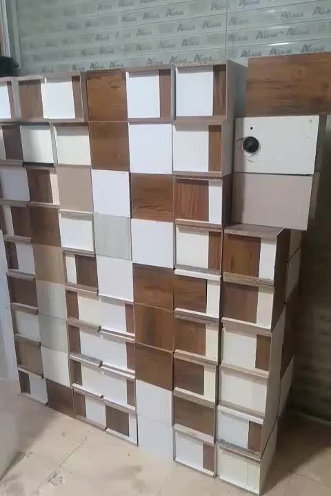 لونه پرنده عروس هلندی طوطی برزیلی طوطی..|لوازم جانبی حیوانات|نسیم‌شهر, |دیوار