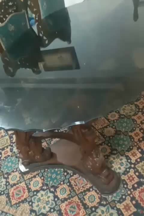 میز نهار خوری ۸نفره|میز و صندلی غذاخوری|بهارستان, |دیوار