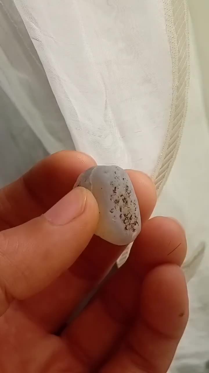 نشان عقیق|کلکسیون اشیاء عتیقه|رشت, منظریه|دیوار