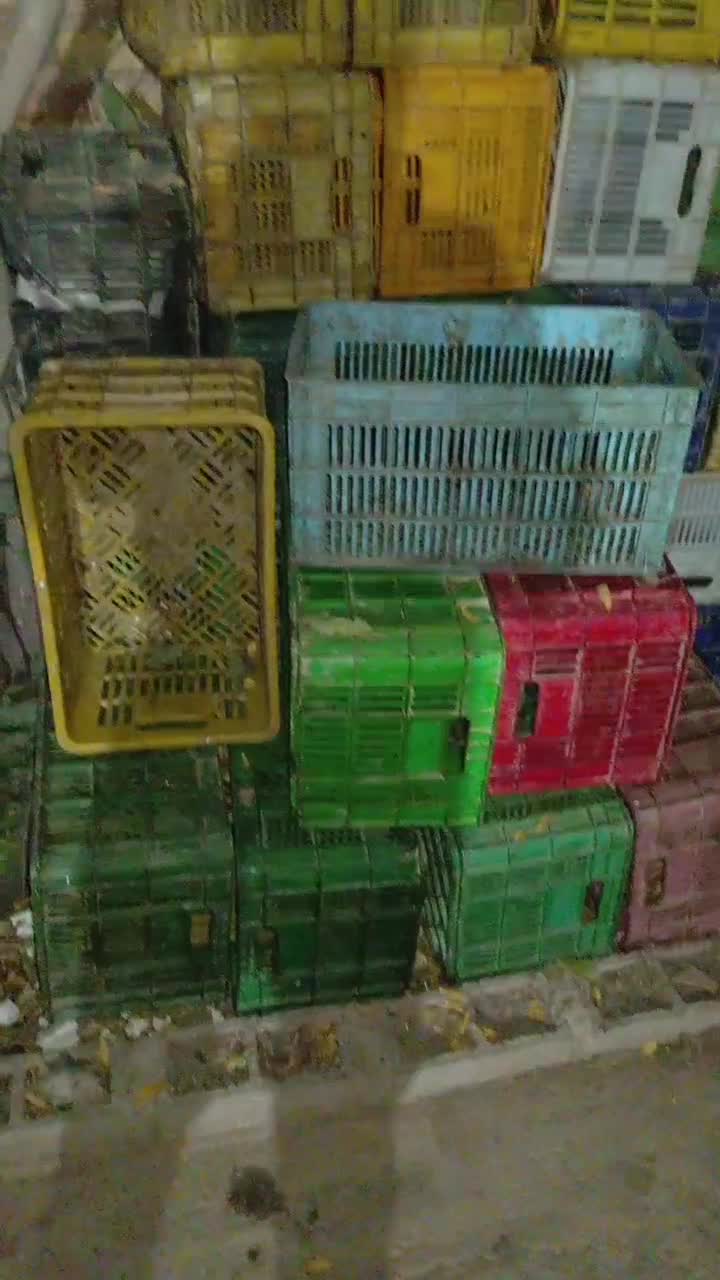 سبد گوجه رنگی|عمده‌فروشی|مرودشت, کوشک|دیوار