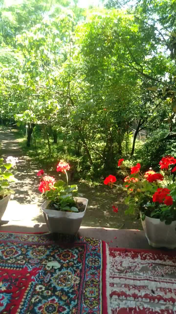 اجاره روزانه/هفتگی/ماهانه ویلا ۱۷۵ متری|اجارهٔ کوتاه‌مدت ویلا و باغ|ماسال, |دیوار