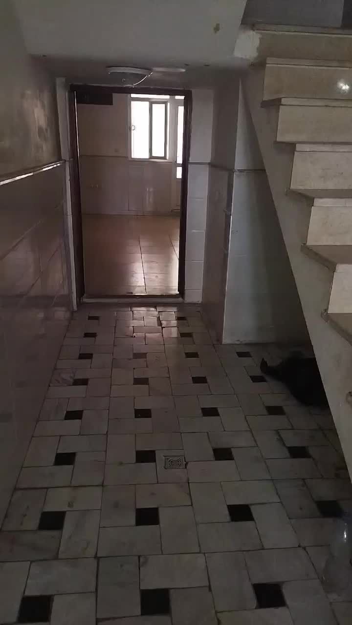 خانه ی اجاره ای|اجارهٔ خانه و ویلا|قم, چهل درخت|دیوار