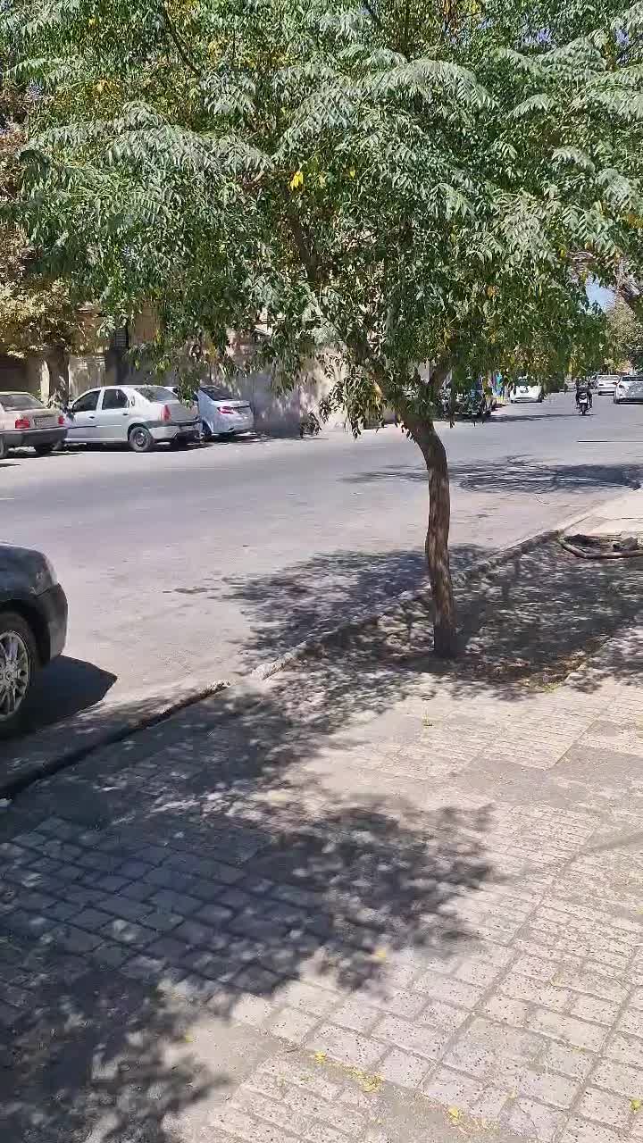 بلوار کریمی ،ویلایی دربست ،دوطبقه|اجارهٔ خانه و ویلا|مشهد, شهید مطهری|دیوار