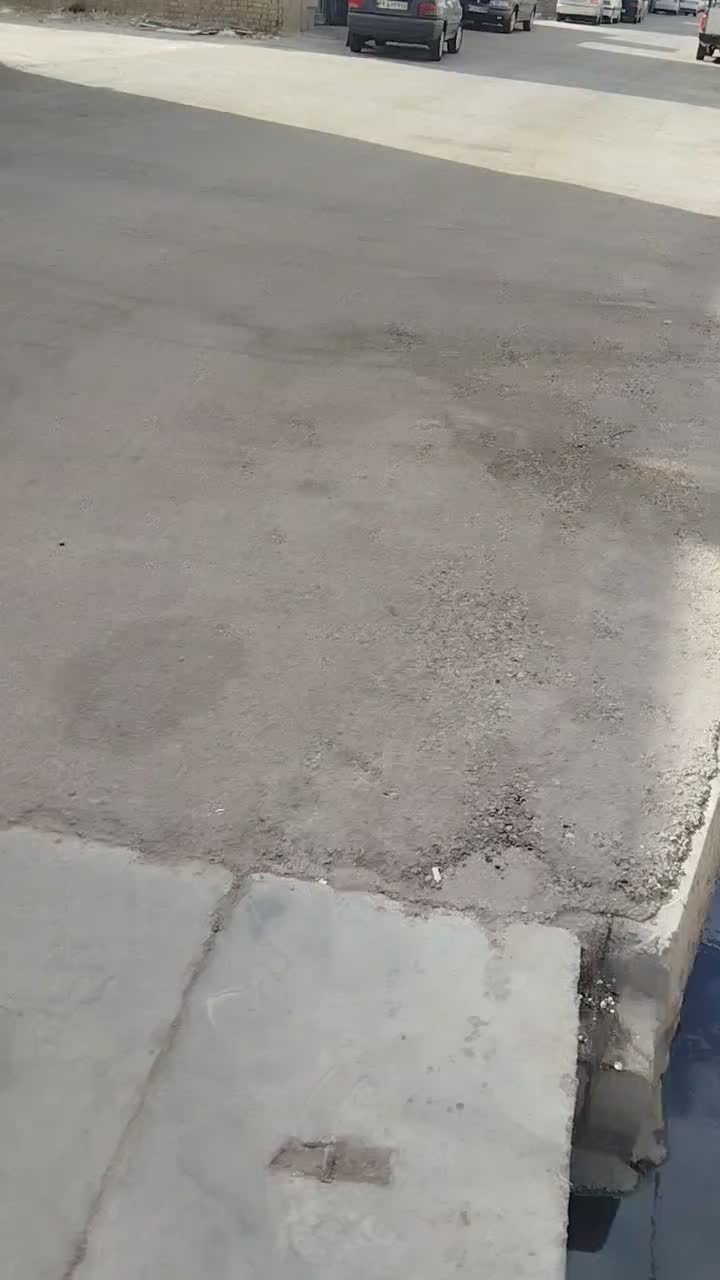 بلوار دولت شرقی ک 11|اجارهٔ خانه و ویلا|شیراز, کوشک میدان|دیوار