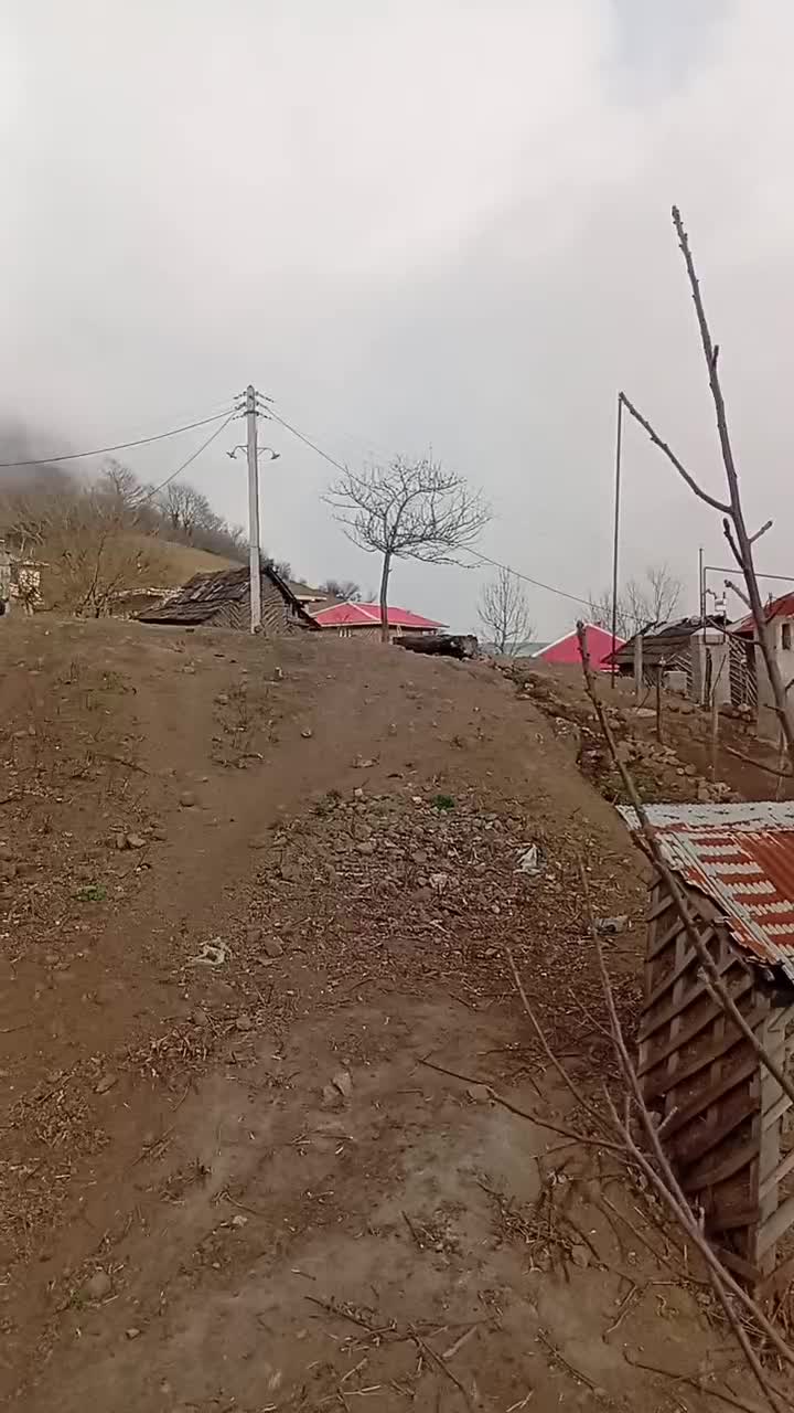 فروش زمین به مساحت ۱۰۰۰متر بامدارک کامل بروز|فروش زمین و ملک کلنگی|تالش, تالش|دیوار