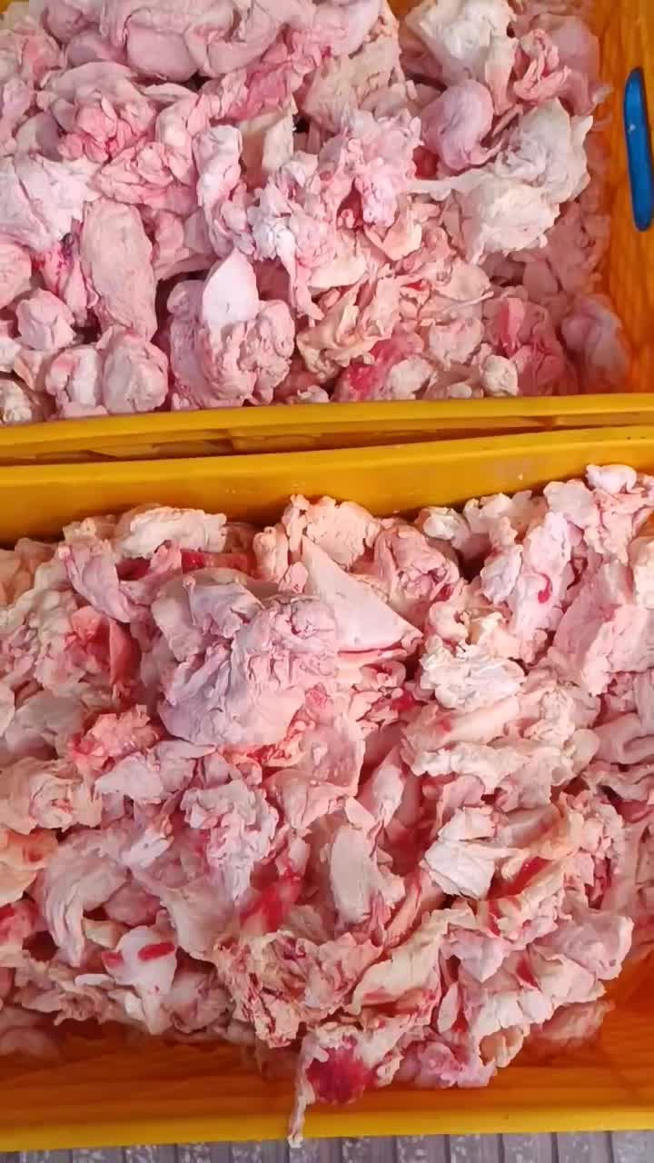 شهله گاوی و گوسفندی تازه کشتار روز حلیم دنبه کوهان|خوردنی و آشامیدنی|قم, نخودی|دیوار