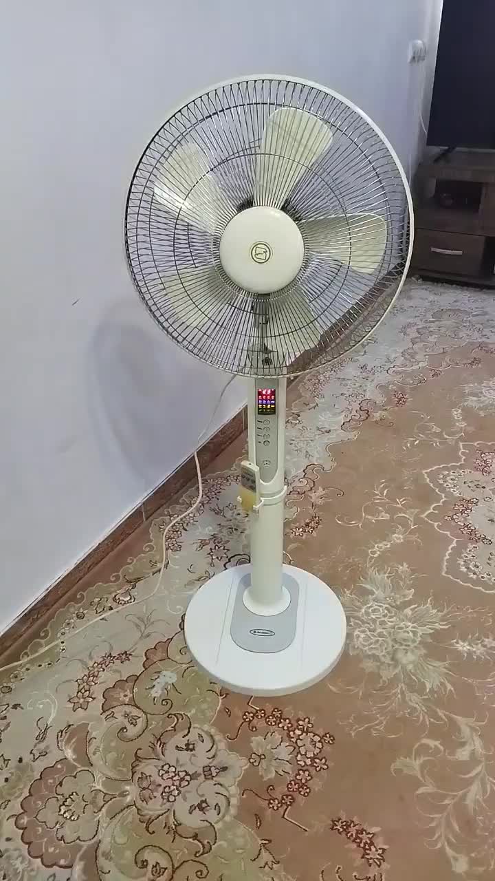 پنکه ایستاده ارشیا کنترلی|پنکه و تصفیه‌کنندهٔ هوا|رشت, دیانتی|دیوار