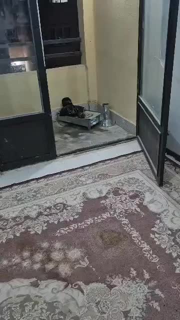 مسکن مهر|فروش آپارتمان|شیراز, صاحب الزمان|دیوار