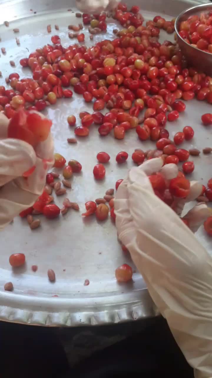 زغال اخته خشک بدون هسته|خوردنی و آشامیدنی|تهران, سلسبیل شمالی|دیوار