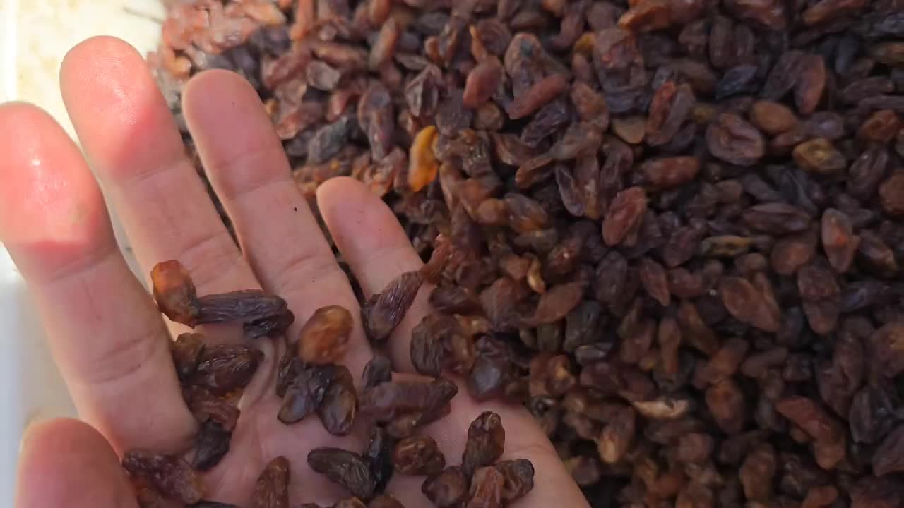 کشمش خواراکی و غیر خوارکی|عمدهفروشی|خلیل آباد, |دیوار