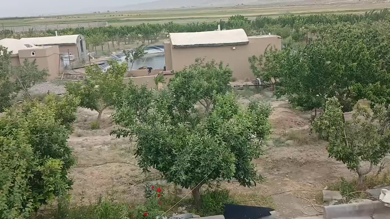 بومگردی واقامتی دهکده کلاته|اجارهٔ کوتاه‌مدت ویلا و باغ|گلبهار, نوبهار|دیوار