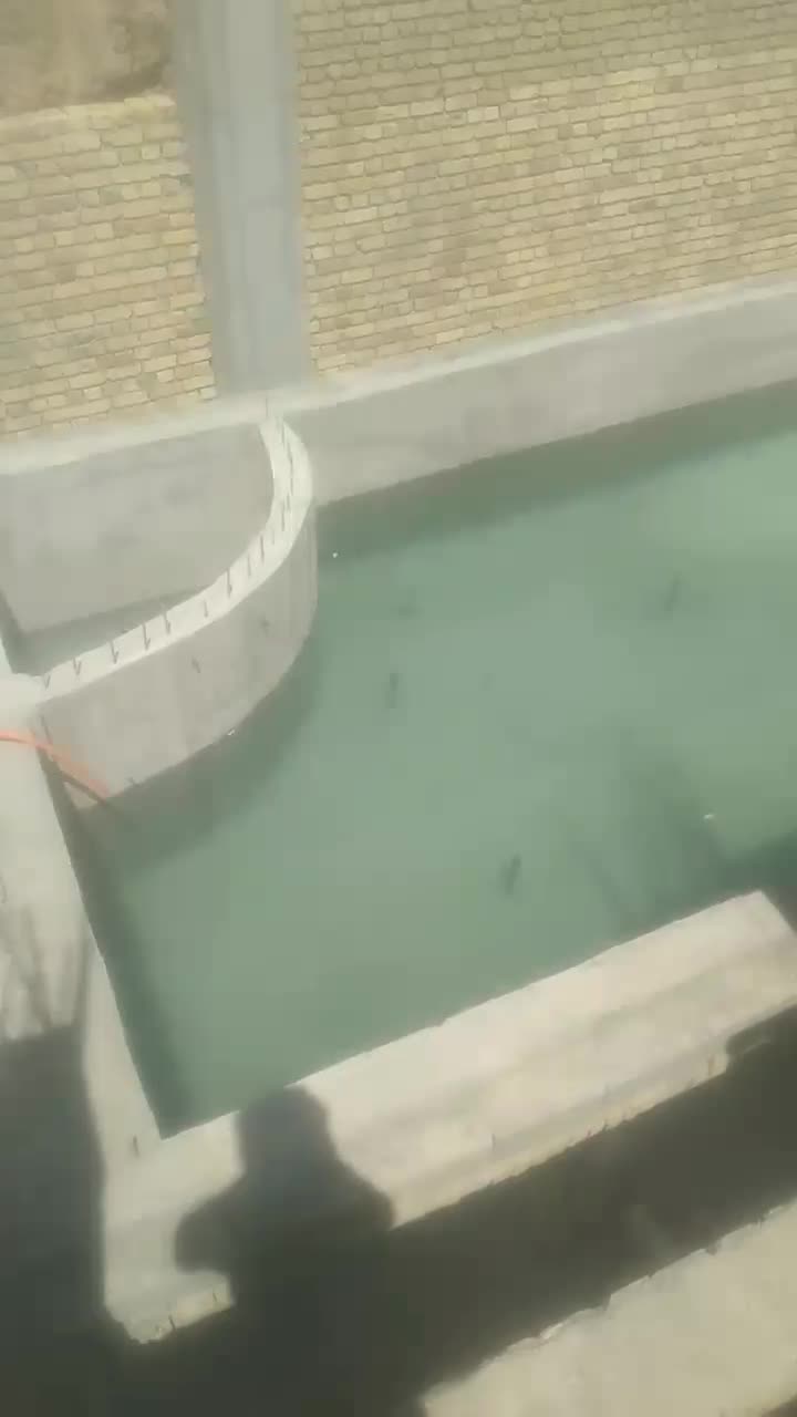 نیروی ارماتوربند|استخدام معماری، عمران و ساختمانی|هشتگرد, تهران دشت|دیوار