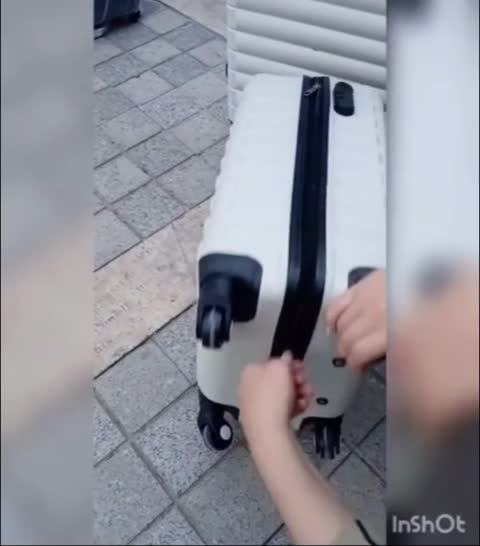 چمدان ست تکی(چمدانسرای کسا اصفهان)جهیزیه کیف سفر|کیف، کفش، کمربند|اصفهان, جویباره|دیوار