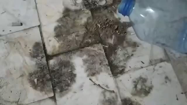 جرم‌گیر نانو قوی مخصوص سطوح سنگی و سرامیک|لوازم نظافت|شهریار, |دیوار