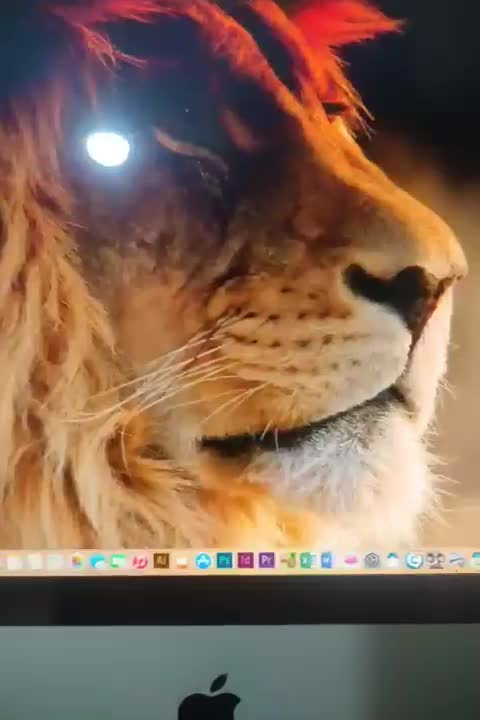 کامپیوتر اپل. مکینتاش|رایانه رومیزی|تهران, زاهد گیلانی|دیوار