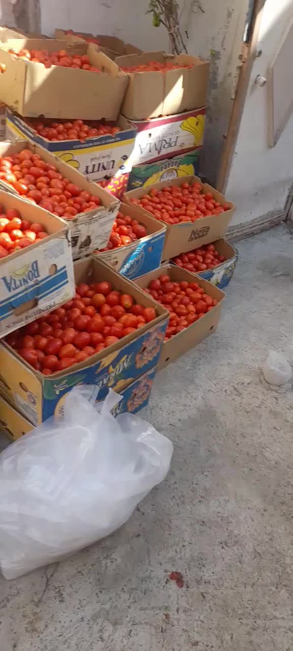 گوجه|خوردنی و آشامیدنی|قم, نخودی|دیوار