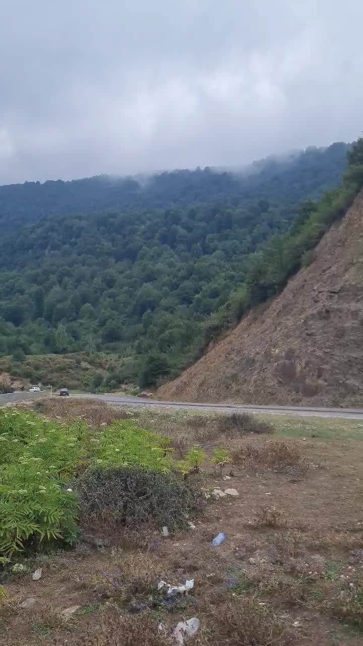 فروش زمین دونبش ویو ابدی ۱۸۰ متر|فروش زمین و ملک کلنگی|آلاشت, |دیوار